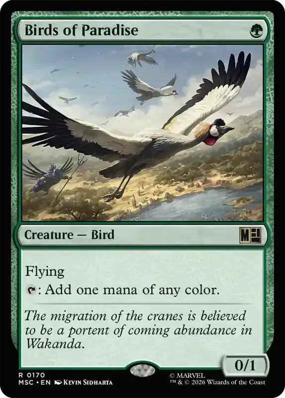 Marvel Super Heroes Set List - Birds of Paradise