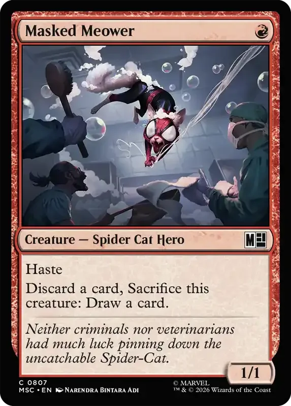 Marvel Super Heroes Set List - Masked Meower