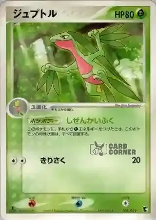 Treecko Constructed Starter Deck Card List - Reptain 005/019