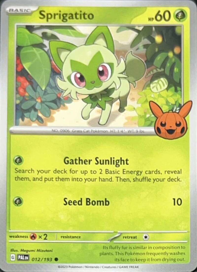Pokemon Halloween 2024 - Felori