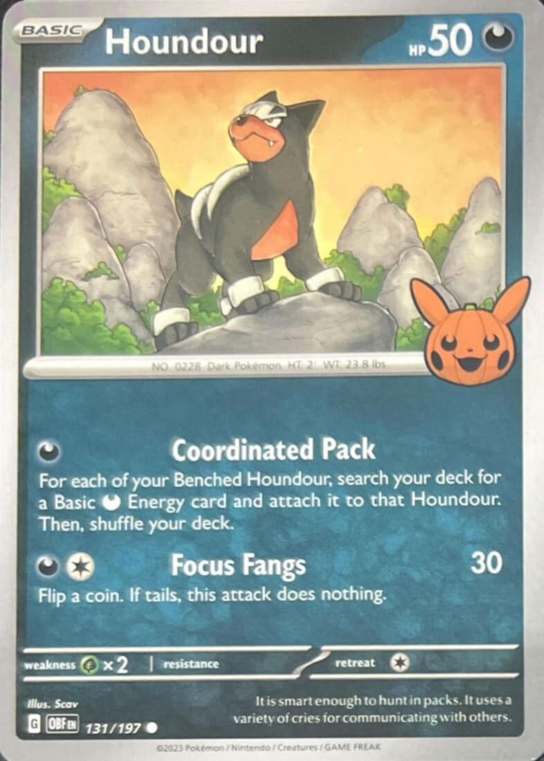 Pokemon Trick or Trade 2024 - Hunduster