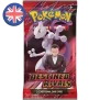Pokemon Destined Rivals Booster