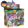 Pokemon Drachenwandel Display