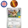 Pokemon 30th Celebration Knock Out Collection