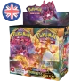 Pokemon Darkness Ablaze Display