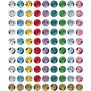 Pokemon Terastal Gathering Coin Set (CN)