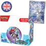 Pokemon Journey Together Enhanced Display