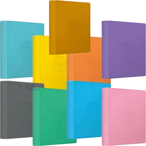 Pokemon Terastal Gathering Binder Gift Set (CN)