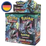 Pokemon Stunde der Wächter Display