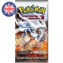 Pokemon Black & White Booster (EN)