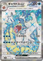 Gyarados EX 91